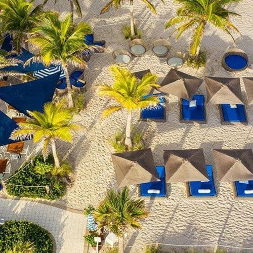 Cozy 1Br Condo Beachwalk Resort Hallandale Beach Extérieur photo